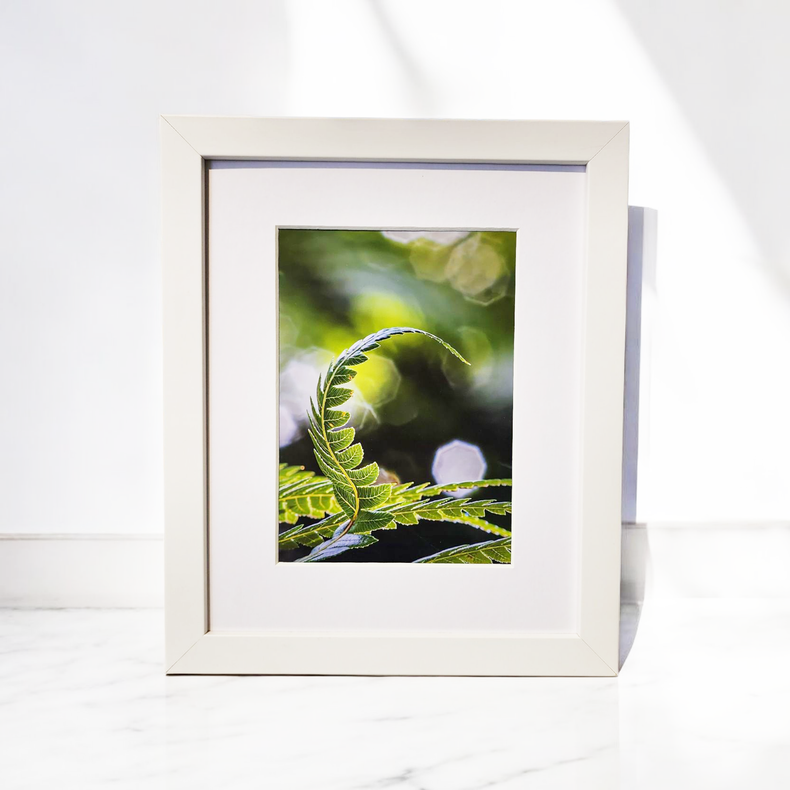 White Frame 20x20 - Print & frame package