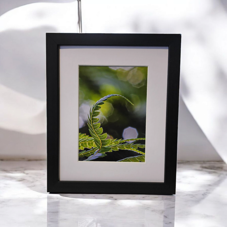 Black Frame 20x20 - Print & frame package