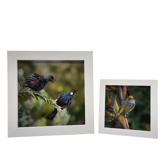 Insta Frames