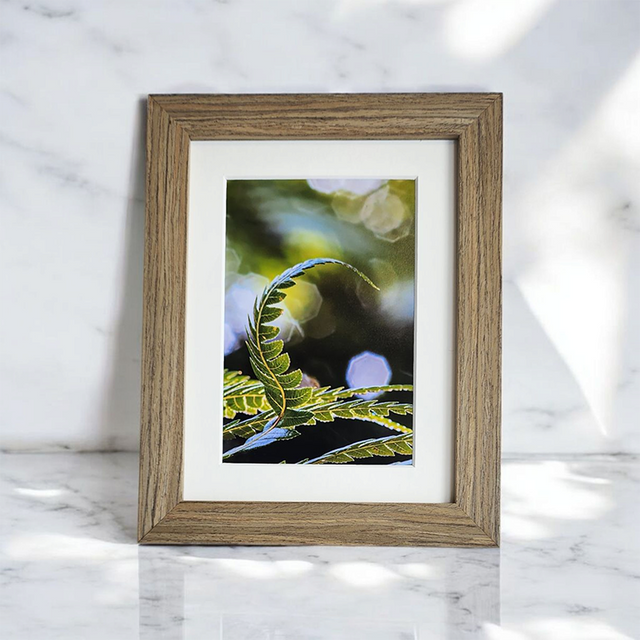 framed print
