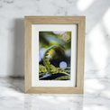 framed print