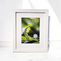 White Frame 20x20 - Print & frame package