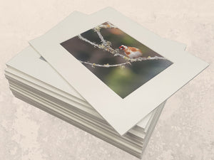 matted prints, matted print, photoprints, photo printing, photo printing auckland, auckland photo printing